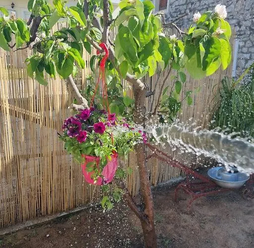 Stone House - πέτρινο * Aliartos